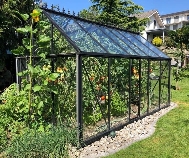 Build a DIY Greenhouse