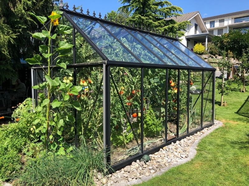 Build a DIY Greenhouse